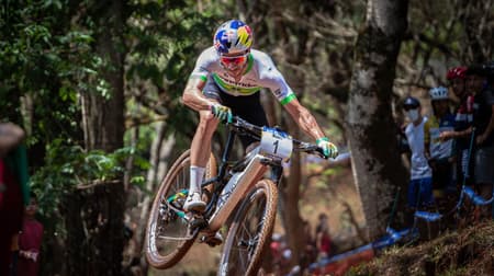 Henrique Avancini