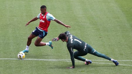 Palmeiras treino