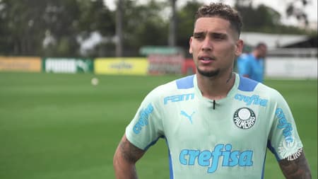 Palmeiras - Rafael Navarro