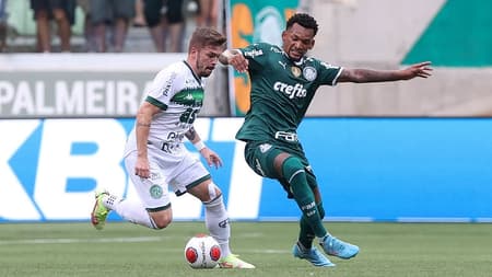 Palmeiras Guarani