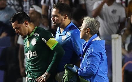 gomez_santos_palmeiras_brasileirao_2023-aspect-ratio-512-320