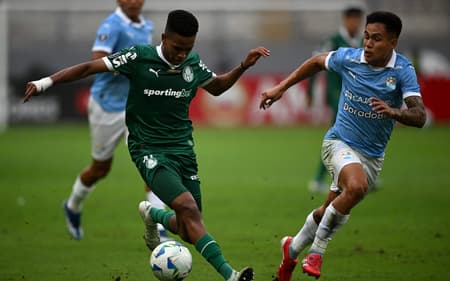 AFP__20250403__393B7VK__v1__HighRes__FblLibertadoresCristalPalmeiras-scaled-aspect-ratio-512-320