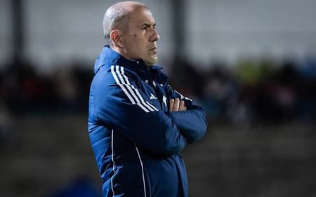 Técnico do Cruzeiro, Leonardo Jardim (Foto: Gustavo Aleixo/Cruzeiro)