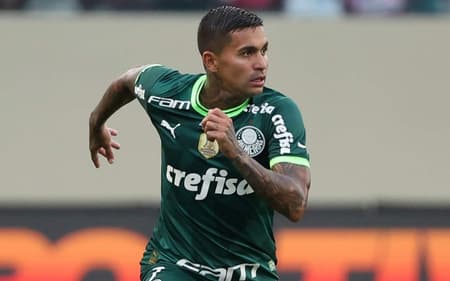 Dudu - Palmeiras