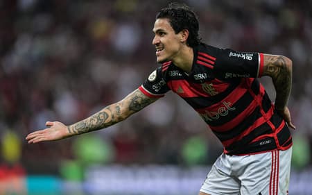 Flamengo x Cruzeiro - Pedro