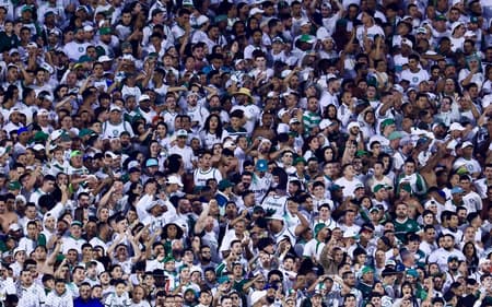 Torcida do Palmeiras em Barueri