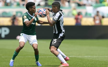 Estêvão e Allan em disputa no duelo entre Palmeiras e Botafogo (Foto: Juan Mabromata/AFP)