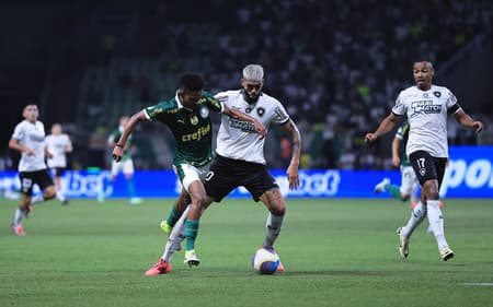 Botafogo e Palmeiras