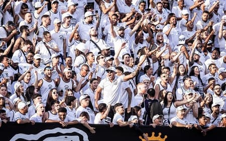 Torcida do Santos terá três jogos em casa em julho, pelo Campeonato Brasileiro. (Foto: Raul Baretta/ Santos FC)