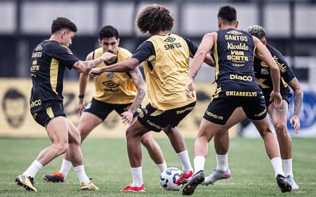 Elenco do Santos realiza treinos no CT Rei Pelé. (Foto: Raul Baretta/ Santos FC)
