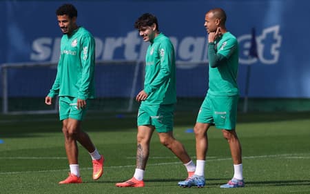 Treino Palmeiras