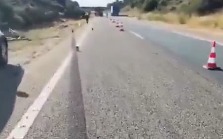 Vídeos: veja como ficou Lamborghini de Diogo Jota após acidente na Espanha