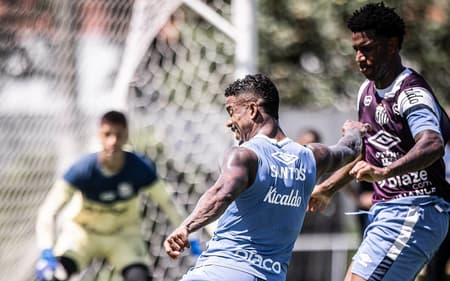 Hayner pode deixar o Santos (Foto: Raul Baretta/ Santos FC)