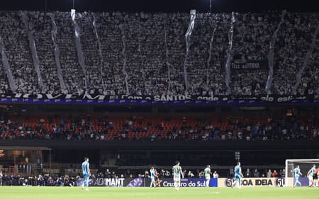 Santos recebe o Vasco no Morumbis no próximo domingo (17), pelo Campeonato Brasileiro. (Foto: Marcello Zambrana/AGIF)