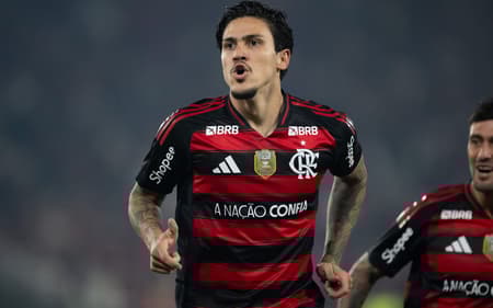 Pedro Flamengo Vitória