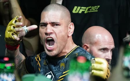 Poatan busca terceiro reinado no UFC (Foto: Divulgação UFC)