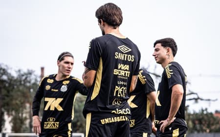 Rollheiser volta ao time após cumprir suspensão (Foto: Divulgação/ Santos)