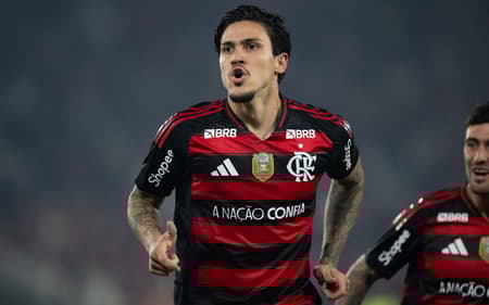 Pedro Flamengo Vitória