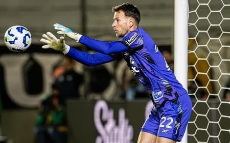 Neto é o novo goleiro do Botafogo (Foto: Vítor Silva/Botafogo)