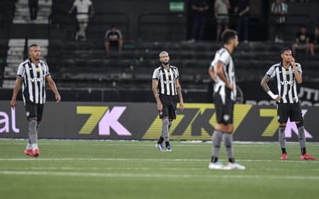 Botafogo vive momento de oscilação na temporada (Foto: Thiago Ribeiro/AGIF)