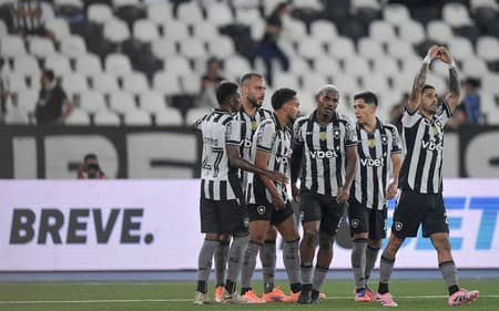 Botafogo venceu o Bahia em casa pelo Brasileirão (Foto: Thiago Ribeiro/AGIF)