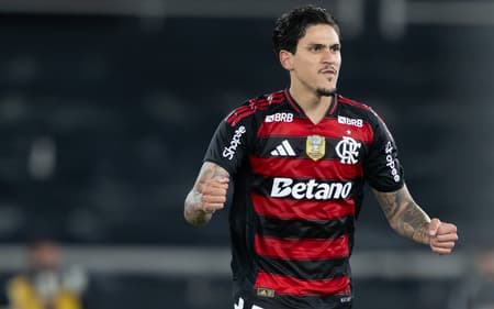 Pedro comemora gol do Flamengo contra o Botafogo (Foto: Jorge Rodrigues/AGIF)