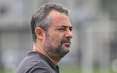 Alexandre Mattos reclaam da arbitragem no duelo do Santos com o Botafogo. (Foto: Jota Erre/AGIF)