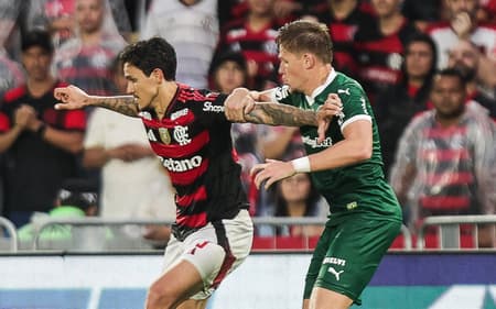Pedro Fuchs Flamengo Palmeiras