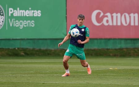 Ramón Sosa, Palmeiras, antes da Libertadores