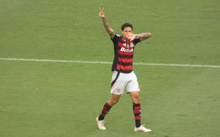 Pedro comemora gol do Flamengo contra o Palmeiras (Foto: Lucas Bayer/Lance!)