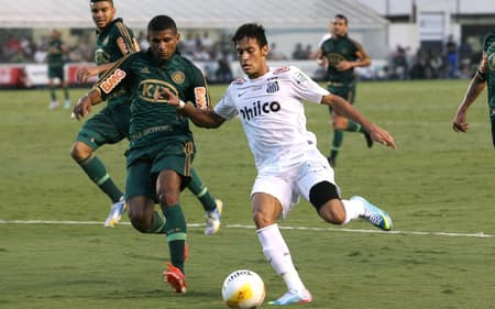 Santos e Palmeiras se enfrentaram pelas quartas de final do Paulistão, em 2013. (Foto: Guilherme Dionizio/Gazeta Press)