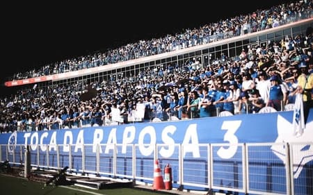 Torcida do Cruzeiro no Mineirão (Foto: Gustavo Martins/Cruzeiro)
