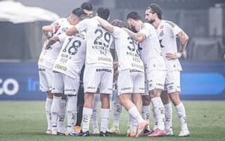 Peixe tem apenas 35% de aproveitamento no Campeonato Brasileiro. (Foto: Raul Baretta/ Santos FC)