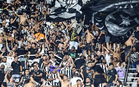 Torcida do Botafogo no Nilton Santos (Foto: Vítor Silva/Botafogo)