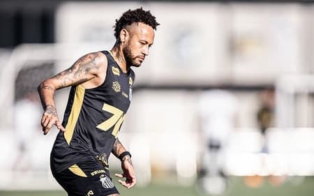 Neymar acumula 25 partidas e sete gols com a camisa do Santos nesta temporada. (Foto: Raul Baretta/ Santos FC)