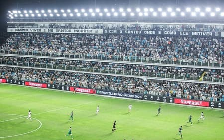 Santos venceu o Palmeiras por 1 a 0, na Vila Belmiro, na última rodada do Campeonato Brasileiro. (Foto: Reinaldo Campos/ Santos FC)