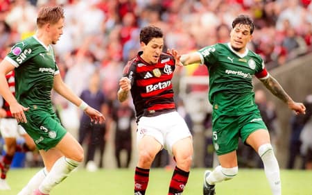 Flamengo x Palmeiras pelo Campeonato Brasileiro (Foto: Adriano Fontes/Flamengo)