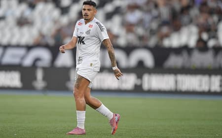 Tiquinho Soares tem 42 jogos com a camisa do Santos nesta temporada. (Foto: Thiago Ribeiro/Agif/Gazeta Press)