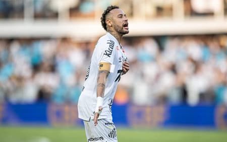 Neymar participou de 30 jogos e marcou 12 gols com a camisa do Santos nesta temporada. (Foto: JHONY INACIO/AGENCIA ENQUADRAR)