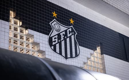 Santos passa por mudanças no elenco (Foto: Raul Baretta/ Santos FC)