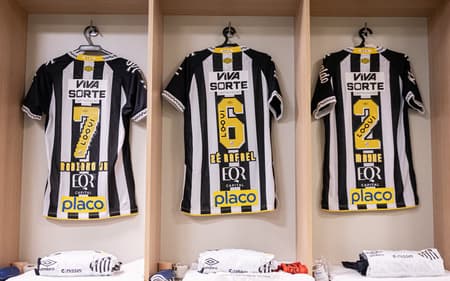 Santos deve passar por mudanças em seu elenco (Foto: Raul Baretta/ Santos FC)