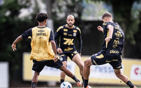 Santos foi a campo com reservas (Foto: Raul Baretta/ Santos FC)