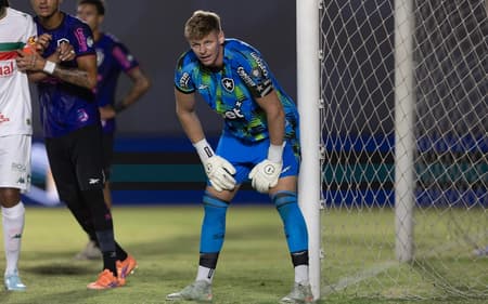 Raul brilhou na vitória do Botafogo sobre a Portuguesa (Foto: Matheus Sanches/MyPhoto Press/Gazeta Press)
