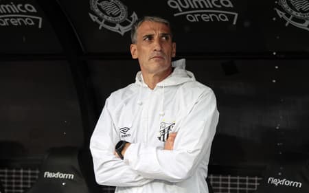 Vojvoda treinador Santos