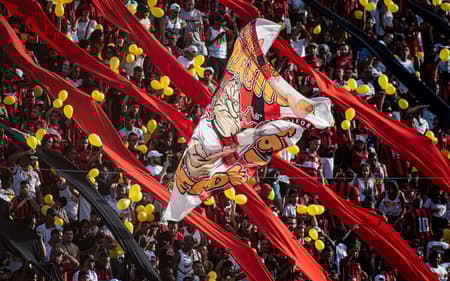 Torcida do Vitória faz a festa no Barradão (Foto: Victor Ferreira / EC Vitória)