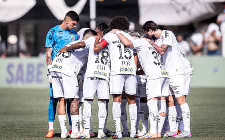 Santos soma sete jogos sem perder (Foto: Raul Baretta/ Santos FC)