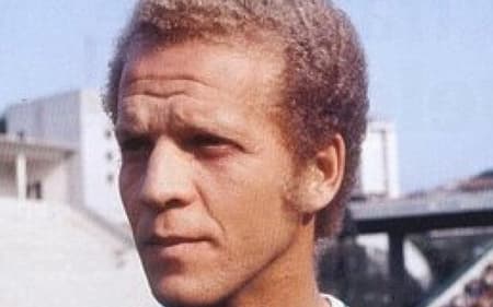 Ademir da Guia Palmeiras