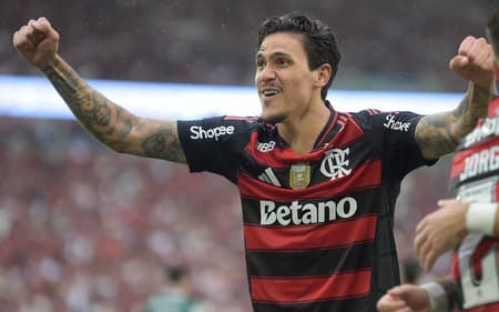 Pedro em ação pelo Flamengo (Foto: Dhavid Normando/Código19/Gazeta Press)