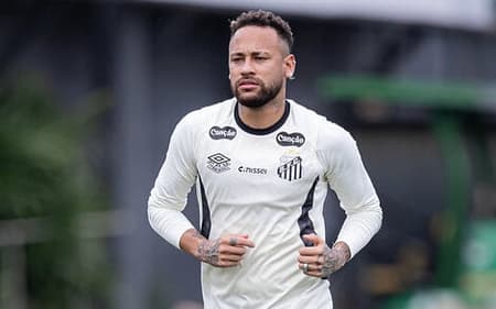 Neymar atuou em 30 partidas na última temporada. (Foto: Raul Baretta/ Santos FC)