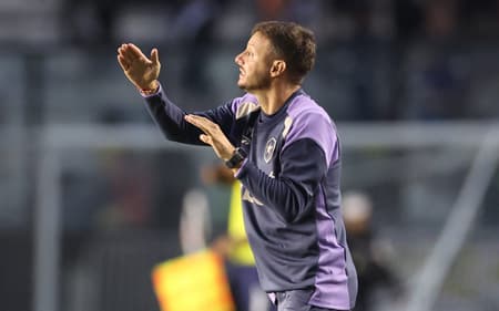 Botafogo é comandado pelo técnico Martín Anselmi (Foto: Vítor Silva/Botafogo)